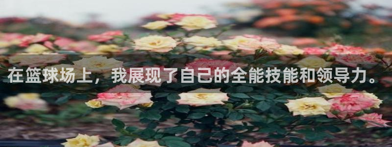 天天体育看球：在篮球场上，我展现了自己的全能技能和领导力。
