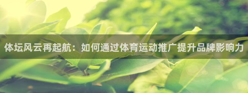 天天体育nba直播免费观看：体坛风云再起航：如何通过体育运动推广提升品牌影响力