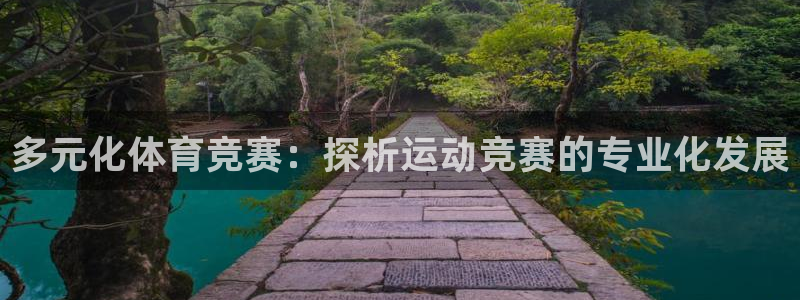 天天体育微博：多元化体育竞赛：探析运动竞赛的专业化发展