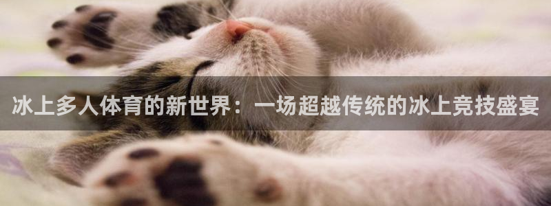 天天体育金巍：冰上多人体育的新世界：一场超越传统的冰上竞技盛宴