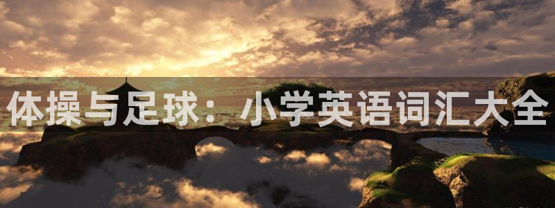 天天体育休闲频道直播入口在哪：体操与足球：小学英语词汇大全