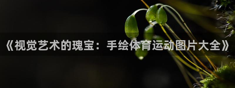天天体育夺冠：《视觉艺术的瑰宝：手绘体育运动图片大全》