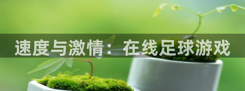 天天体育直播入口官网：速度与激情：在线足球游戏