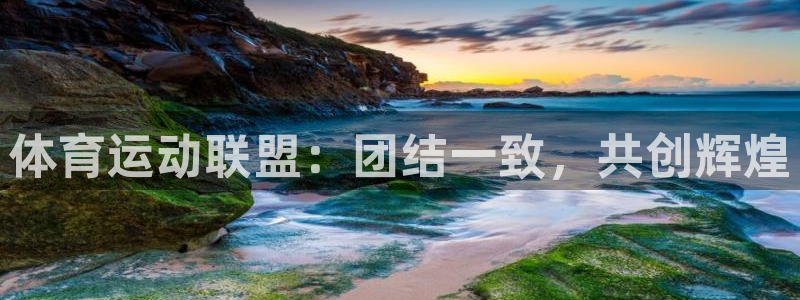 天天体育课直播：体育运动联盟：团结一致，共创辉煌