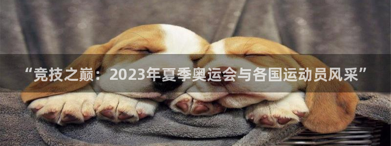 天天体育app下载安装：“竞技之巅：2023年夏季奥运会与各国运动员风采”
