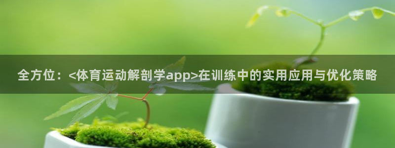 天天体育app官网入口：全方位：<体育运动解剖学app>在训练中的实用应用与优化策略