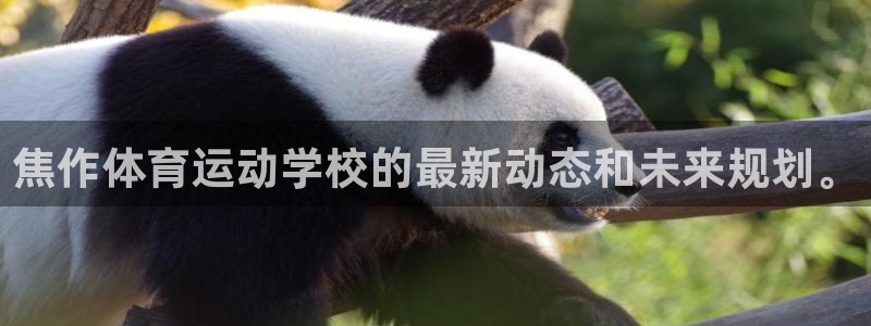 天天体育直播入口官网：焦作体育运动学校的最新动态和未来规划。